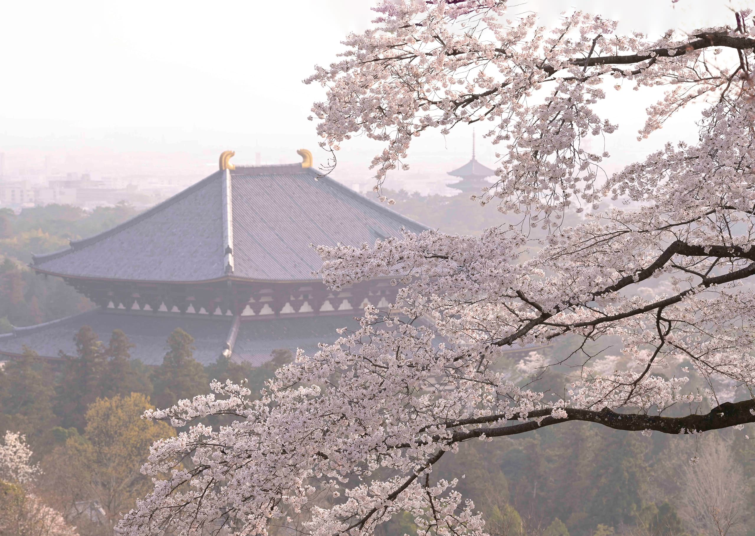 東大寺の大仏殿